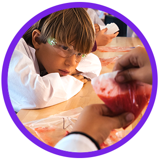 circle boy looking at sample