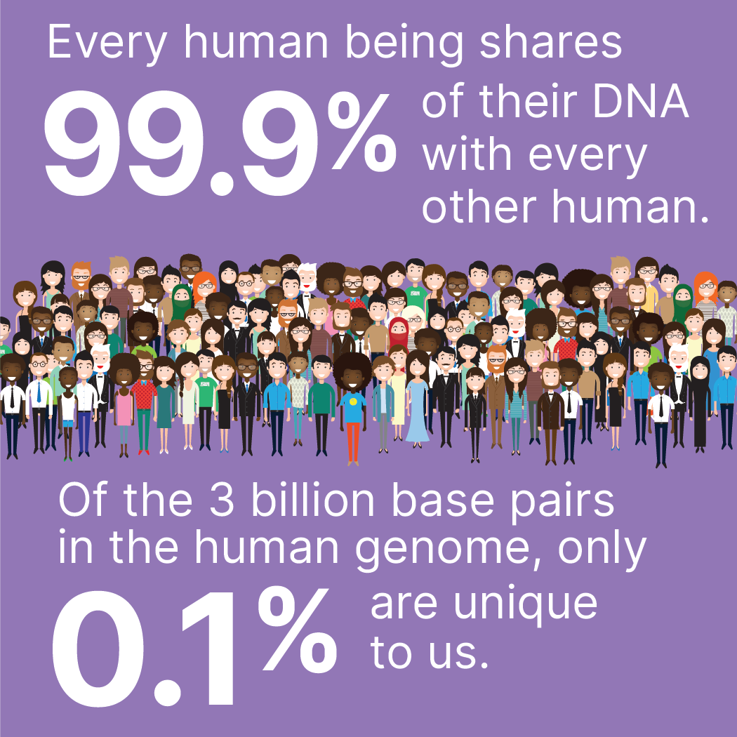Every human being shares 99.9% of their DNA with every other human. Of the 3 billion base pairs in the human genome, only 0.1% are unique to us.
