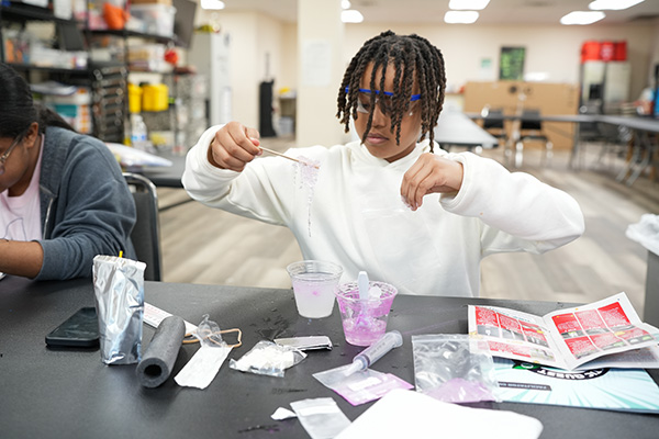 stem next lab activity